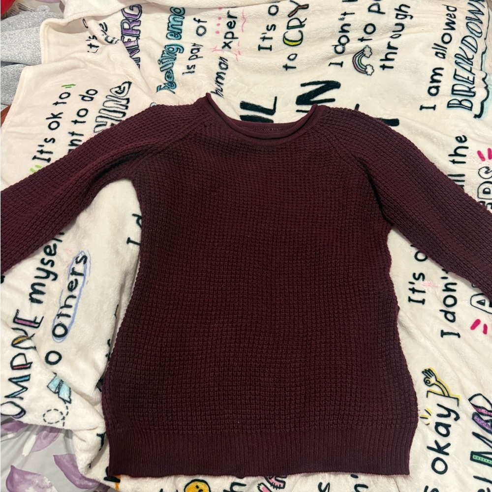 Ambiance Deep Burgundy Crew Neck Sweater